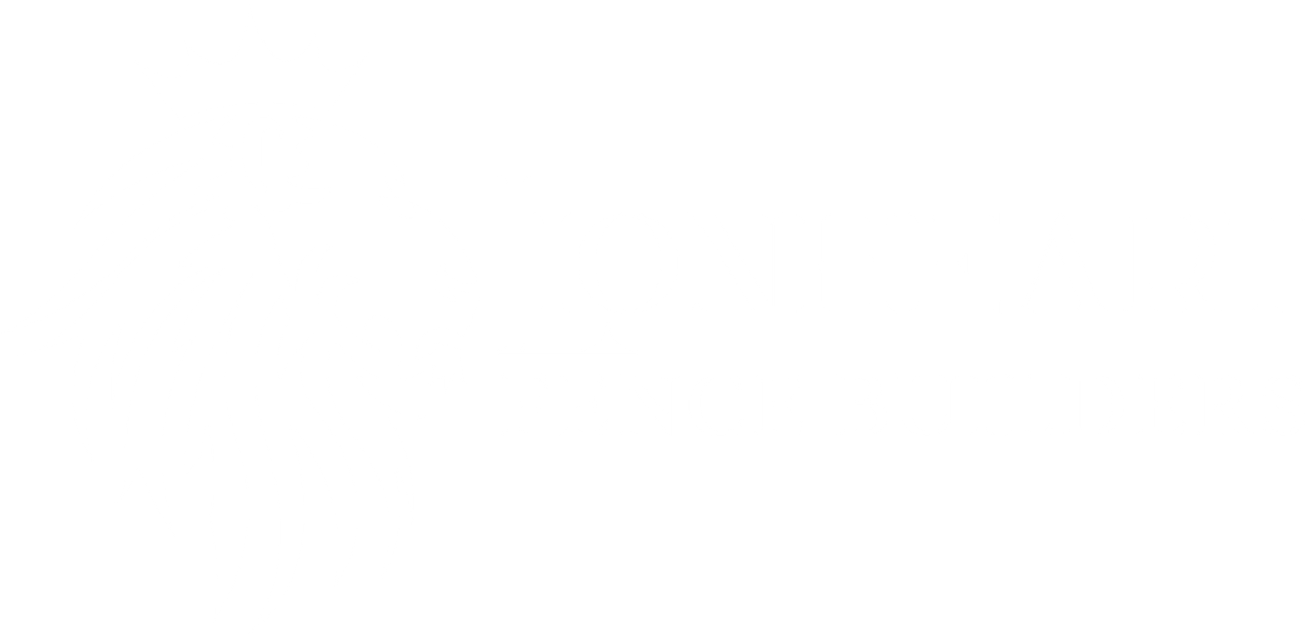Lionheartfencebuilders