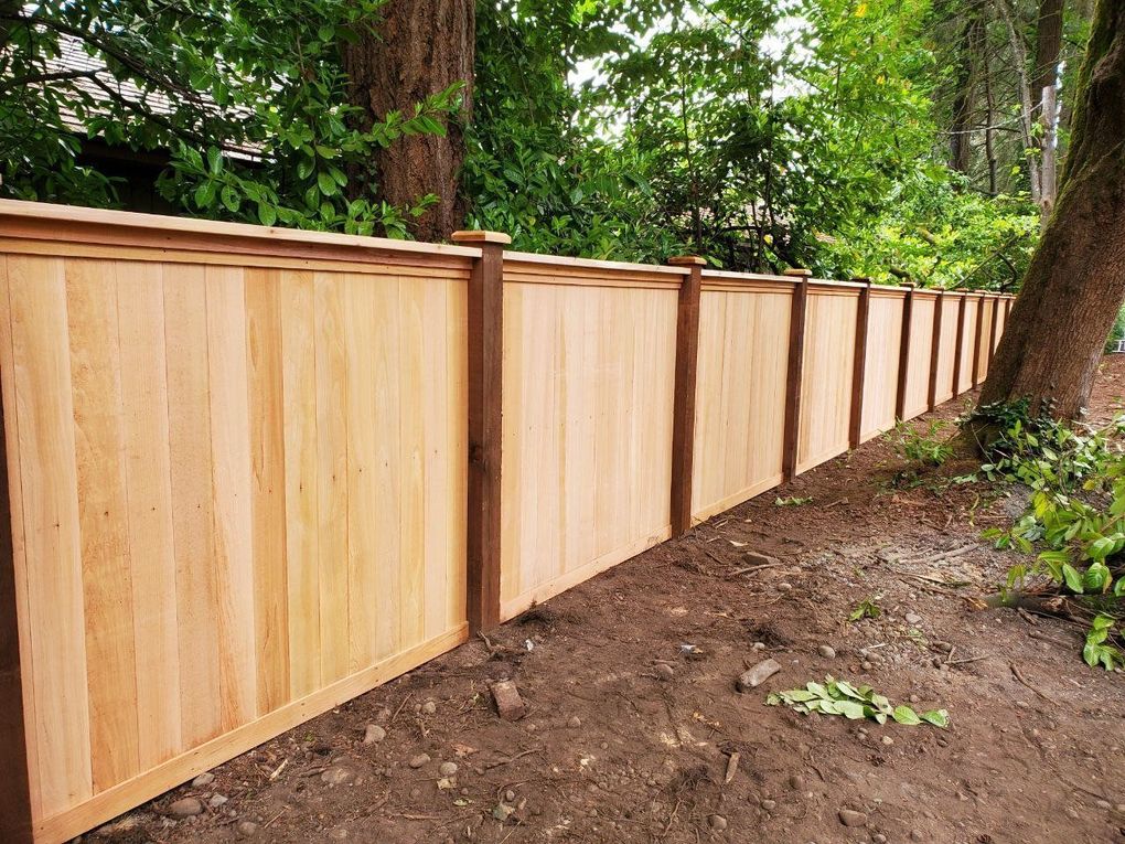 Cedar privacy fence installed by Lionheart Fence Builders