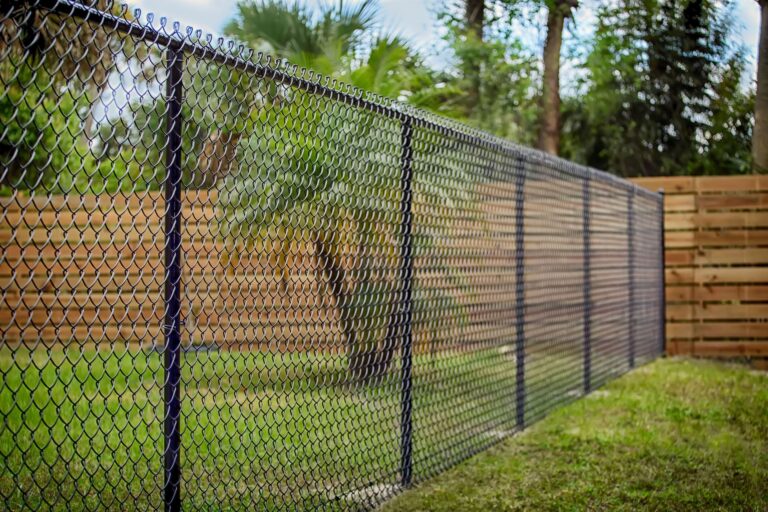 A black chain-link fence running along a backyard, with a wood privacy fence and palm trees behind on a sunny day