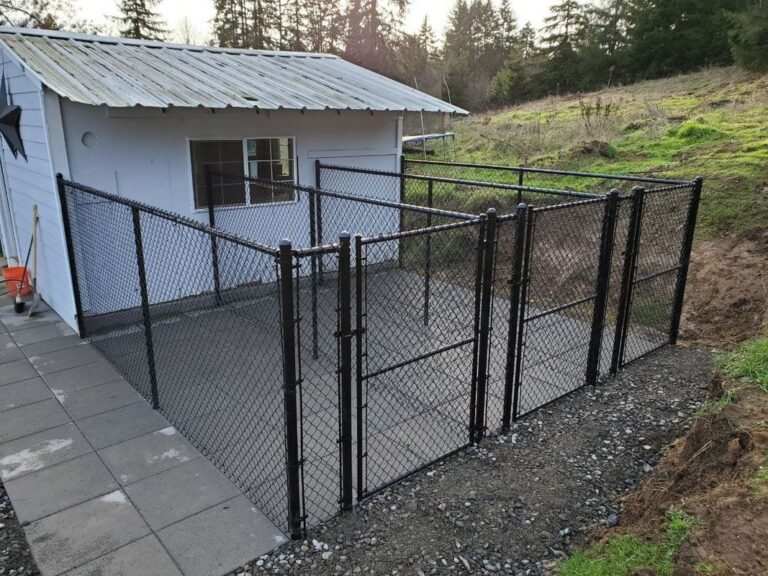 A black chain-link dog run with a gate built on a concrete pad against a white metal-roofed shed on a sloped rural property at sunrise