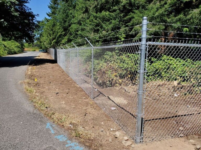 A galvanized chain-link fence topped with barbed wire running along a rural roadside, enclosing an overgrown garden area with evergreens behind