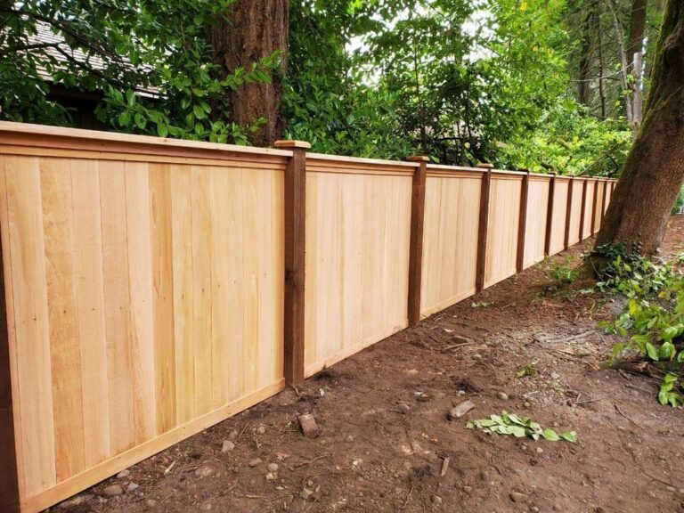 A new light cedar privacy fence with framed panels and capped posts running along a shaded dirt yard, with large trees and green shrubs behind