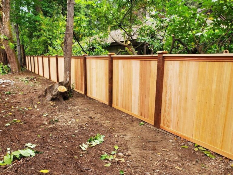 A new cedar privacy fence with framed panels and capped posts curving around a corner of a cleared backyard, a tree stump and mature trees behind on an overcast day