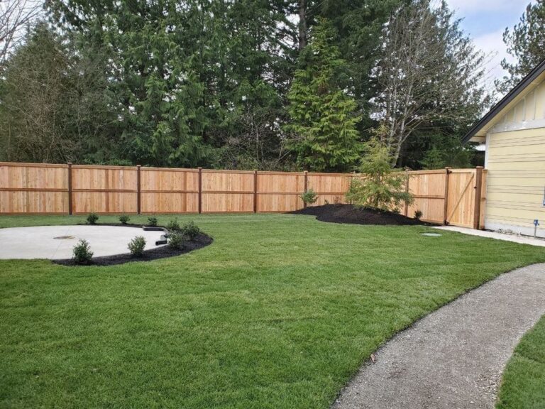 A landscaped backyard enclosed by a cedar privacy fence with a gate, fresh sod, a circular concrete patio with a young boxwood border, and a gravel path beside a yellow house